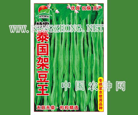 特嫩泰国架豆王